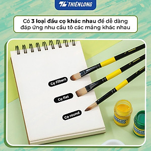 Bộ 5 Cọ vẽ màu nước Thiên Long  đầu Round/ Flat/ Filbert - Cọ lông mềm cho cảm giác tô, vẽ êm mượt