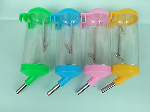 1 Bình bi giúp chim uống nước sạch sẽ (rất phù hợp cho Vẹt)