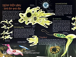 Sách Động Vật Kỳ Quặc