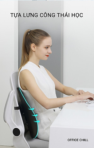Tựa Lưng Ghế Văn Phòng Công Thái Học Đệm Tựa Lưng Văn Phòng