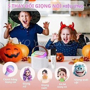 Loa Bluetooth mini kèm 2 micro hát karaoke không dây - Mic hát karaoke âm thanh chất lượng lọc âm khử nhiễu LED RGB - Hàng Nhập Khẩu
