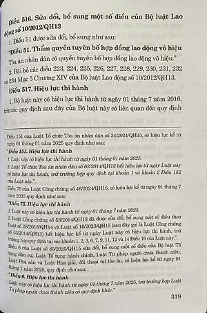 Bộ Luật Tố Tụng Dân Sự ( Sửa Đổi, Bổ Sung Năm 2025)