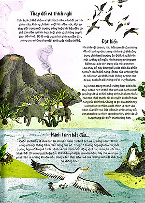 Sách Thời Cá Voi Biết Đi