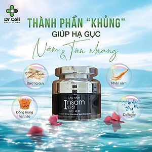 Cao Nám Insam DR CELL 20g hỗ trợ mờ thâm nám dưỡng trắng da la,2 đều màu da - Hàng Chính Hãng