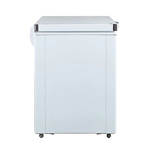 Tủ Đông Alaska BD-300C (205L) - Hàng chính hãng