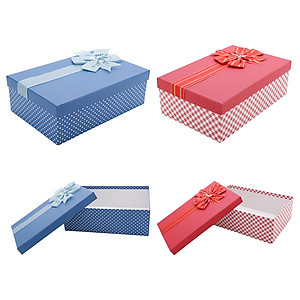 Hộp quà Chữ nhật C216 - 29,5 x 19,5 x 9,5cm - Giao màu ngẫu nhiên