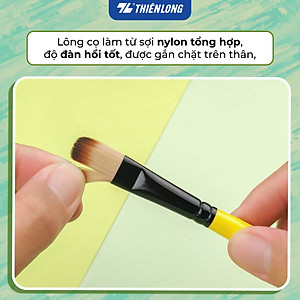 Bộ 5 Cọ vẽ màu nước đầu Round/ Flat/ Filbert Thiên Long Colokit