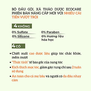 Dầu gội thảo dược PREMIUM ECOCARE 300ml đạt chuẩn CGMP, dầu gội xả thảo mộc giúp sạch gàu, giảm rụng tóc