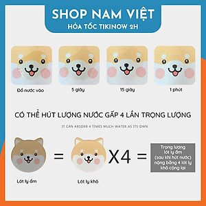Miếng Lót Ly, Đế Lót Đá Xốp Diatomite Siêu Thấm Hút