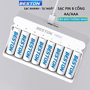 Bộ Sạc pin AA AAA 8 khe Beston C9024, có tính năng sạc nhanh, tự ngắt khi đầy, đèn báo thông minh, dùng cho micro, remote, đồ chơi, thiết bị điện tử - Hàng nhập khẩu