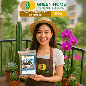 Đá Pumice Greenhome, Bao 500gr, Đất Trồng Sen Đá, Giá Thể Trồng Cây, Lót Chậu, Nhiều Khoáng Chất, Thoát Nước Tốt