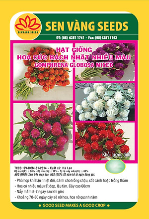 Hạt giống hoa Cúc Bách Nhật nhiều màu VTS147