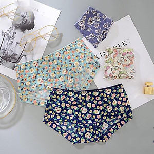 Set 5 Quần Lót Đúc Su Điều Hòa Thông Thoáng HM11