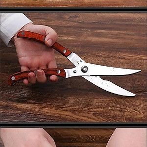 Kéo Cắt Gà K16 Nhập Khẩu TOKDODO Phân Phối