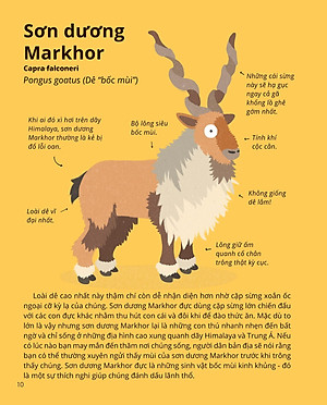 100++ Bí Ẩn Về Tự Nhiên - Những Động Vật Kỳ Diệu Nực Cười Nhất