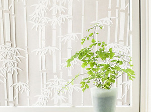 Combo 5 Mét Decal Giấy Dán Kính Trúc Trắng (5 Mét Dài x 0.45 Mét Ngang)