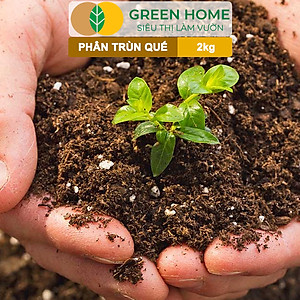 Phân Trùn Quế Greenhome, Bao 2kg, Dinh Dưỡng Hữu Cơ, Không Mùi, Tốt Cho Lan, Bonsai, Rau, Cây Ăn Trái