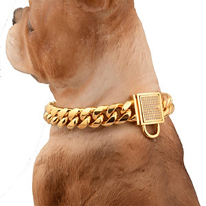 Mua 12-24 Inch Fashion Gold Pet Dog Choke Collar Chain Choker