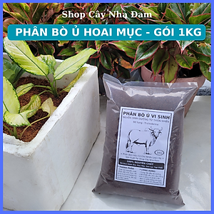 Phân Bò Đã Qua Xử Lý ủ Trichoderma, Chuyên Rau Sạch, Cây Cảnh, Cây Ăn Trái, Hoa (Gói 1Kg)