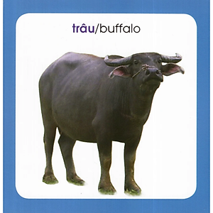 Sách Từ Điển Hình Ảnh Cho Bé: Động Vật