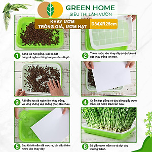 Khay Trồng Rau Greenhome, D34xR25xC5cm, Nhựa Nguyên Sinh, An Toàn, Chuyên Trồng Giá, Rau Mầm Tại Nhà, Không Cần Đất