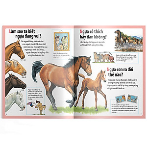 Sách Em Muốn Biết Vì Sao Ngựa Có Móng Và Những Câu Hỏi Khác Về Ngựa