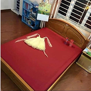 Ga Chống Thấm Bảo Vệ Đệm, Ga Chống Thấm Tuyệt Đối, Giao Màu Ngẫu Nhiên