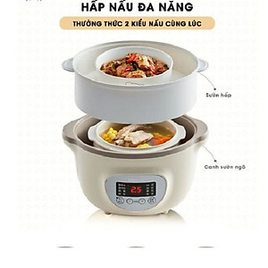 Nồi Nấu Cháo Chưng Yến Tiềm Thuốc Bắc Bear DDZ-A08T8 - Bản Tiếng Anh Có Kèm Khay Hấp Dung Tích 0.8 Lít Công Suất 200 W - Hàng Chính Hãng
