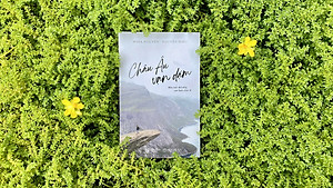 Sách  - Châu âu vạn dặm: Một cuộc đời sống, vạn bước chân đi