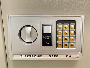 Két sắt điện tử Treny 50EA-DS 17kg có khe phía trước - 3 răng - màu kem