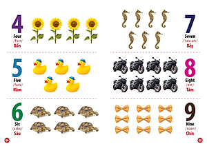 Sách Từ Điển Bằng Hình - Chữ Cái Và Số Đếm (Song Ngữ Anh - Việt)