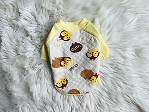 ÁO THUN NỈ PHOM RAGLAN MẶC ẤM CHO THÚ CƯNG CHÓ MÈO