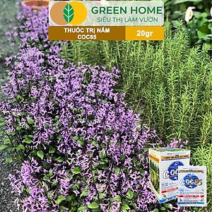 Thuốc Trị Nấm Cây Trồng Greenhome, Coc85 Wp, Gói 20gr, Trừ Đốm Lá Cho Hoa Hồng, Nấm Trên Kiểng Lá, Cây Cảnh, Cây Ăn Quả