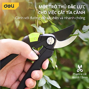 Kéo Cắt Tỉa Cành Cây Deli Chính Hãng 8inch - Lưỡi Thép Sắc Bén, Siêu Bền, Tay Cầm Đệm Cao Su An Toàn, Chắc Chắn DL580201