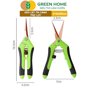 Kéo Cắt Cành GreenHome, D16,5xR4,5cm, Inox, Mũi Nhọn, Siêu Bén, Không Gỉ, Có Khoá An Toàn, Nhiều Màu Lựa Chọn