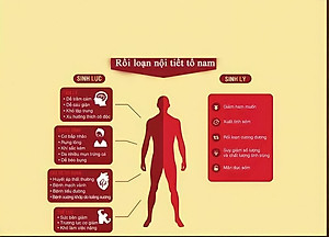Thực phẩm chức năng hỗ trợ tăng cường sức khỏe nam giới Spartan Titan Damode lọ 30 viên