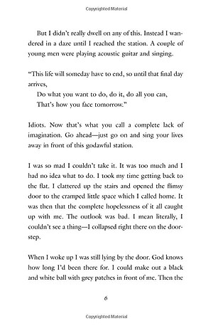 If Cats Disappeared From The World