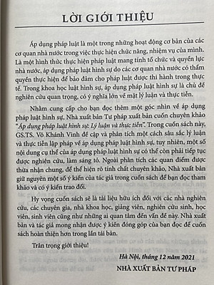 Áp Dụng Pháp Luật Hình Sự Lý Luận Và Thực Tiễn 