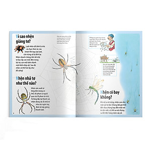 Sách Em muốn biết vì sao nhện giăng tơ và những câu hỏi khác về các loài côn trùng