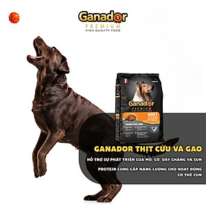 Thức ăn cho chó trưởng thành Ganador vị thịt cừu & gạo Lamb & Rice 3 kg