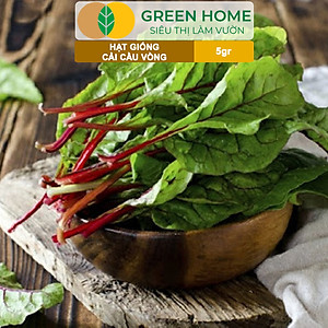 Hạt Giống Rau Cải Cầu Vồng Greenhome, Gói 5g~200 hạt, Dễ Trồng Quanh Năm, Nảy Mầm Cao, Thu Hoạch Nhanh, Năng Suất Cao R06