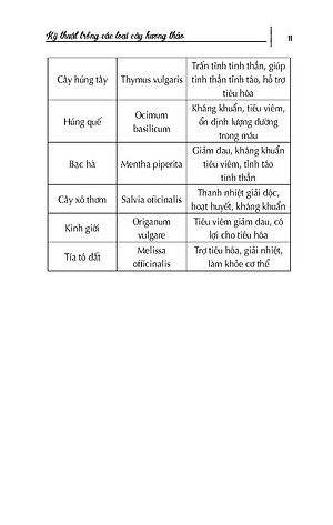 Kỹ Thuật Trồng Các Loại Cây Hương Thảo (Tái bản 2025)