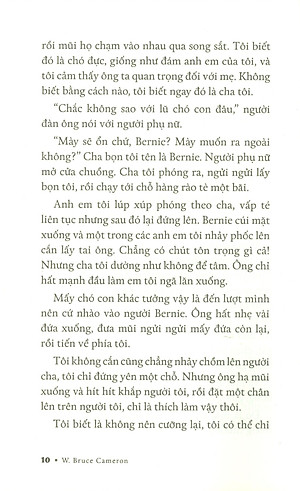 Sách Chuyện Về Ellie - Chú Chó Trong Tiểu Thuyết Mục Đích Sống Của Một Chú Chó