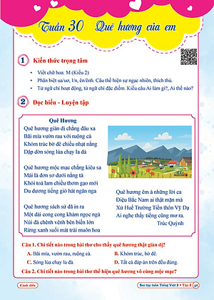 Combo Bài Tập Tuần và Đề Kiểm Tra Toán, Tiếng Việt Lớp 2 - Cánh Diều (Tự Chọn Sách)