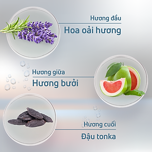 Nước hoa nam,nước hoa quang linh chính hãng Adopt as decour hương thơm sang trọng mạnh mẽ dung tích 30ml