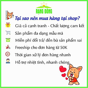 Hạt giống Dâu Tây Đỏ Etna Trái To, Chịu Nhiệt Tốt - Hạt Giống Rạng Đông