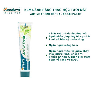 Kem Đánh Răng Thảo Mộc Tươi Mát Active Fresh Himalaya Herbals HMTP0003 (100g)