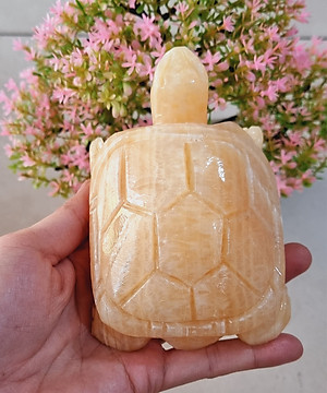 Cụ Rùa phong thủy 12cm đá tự nhiên tạc tay