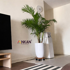 Đế Lót Chậu Cây ANKAN Có Bánh Xe - Gỗ Tràm Mặt Tròn 30cm, Tải Trọng 60kg - Màu Vàng