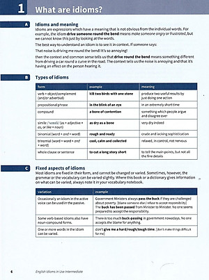 English Idioms in Use Intermediate Book With Answers (Vocabulary In Use)